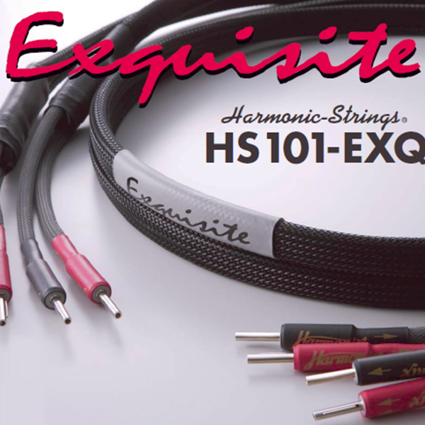 Harmonix HS101-EXQ喇叭線 1